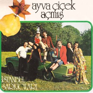 Image for 'Ayva Çiçek Açmış'