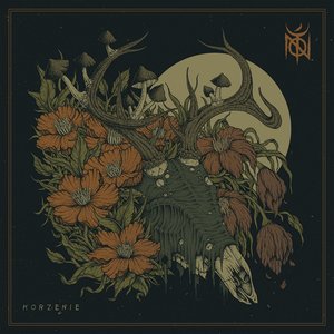 Изображение для 'Korzenie'