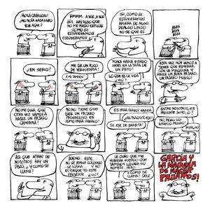 Immagine per 'La Máquina de Hacer Pájaros'
