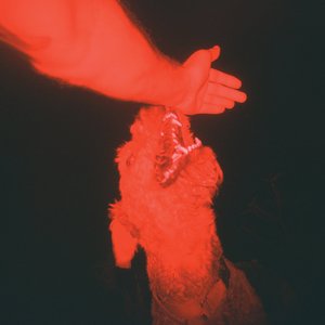 Image for 'A Trick of the Light'