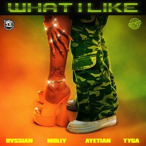 Bild für 'What I Like (with Moliy, Ayetian, & Tyga)'