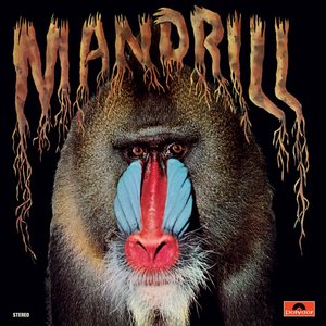 “Mandrill”的封面