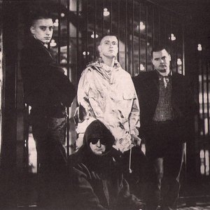 'Coil'の画像