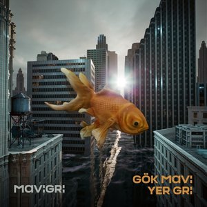 Image for 'Gök Mavi Yer Gri'