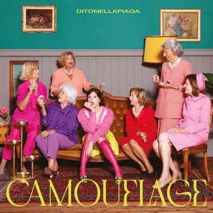 Image for 'Camouflage'