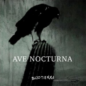 Image for 'Ave Nocturna'
