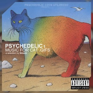 Image for 'PSYCHEDELIC 1: Music For Cat .Gifs'