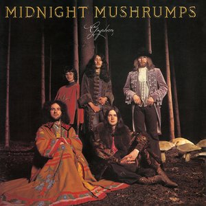Image for 'Midnight Mushrumps'