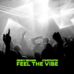 Image for 'Feel The Vibe'