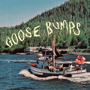 Image for 'Goose Bumps'