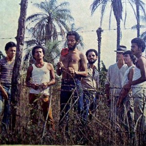 Imagen de 'Grupo Agreste'
