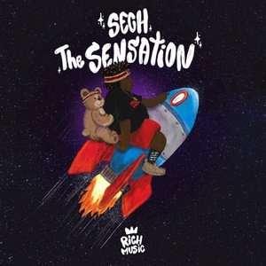 Image for 'The Sensation'