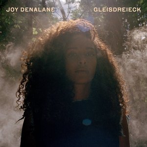 Image for 'Gleisdreieck (Deluxe Edition)'