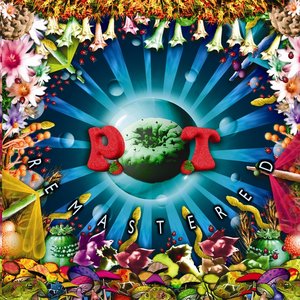 “P.O.T. Remastered”的封面