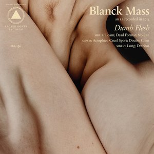 'Dumb Flesh'の画像