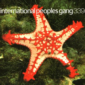 Image for 'international peoples gang 3395'