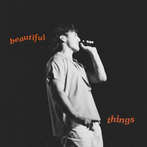 “Beautiful Things”的封面