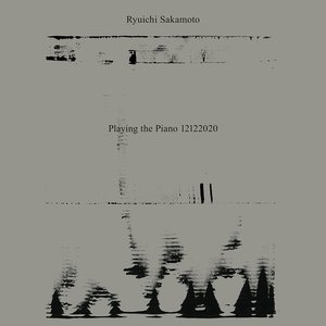 Image pour 'Playing the Piano 12122020'