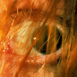 Image for 'L'AVANT-DERNIER JOUR'