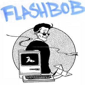 “flashbob”的封面