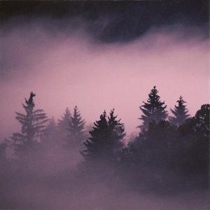 “Misty”的封面