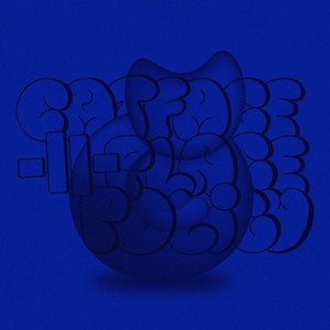 “cat face, cat place policy (slowed + reverb)”的封面