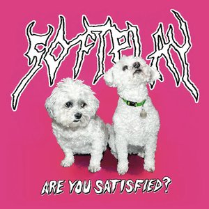 Image for 'Are You Satisfied?'