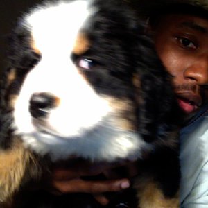 Imagen de 'Frank Ocean'