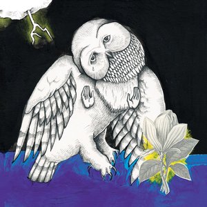 “Magnolia Electric Co.”的封面