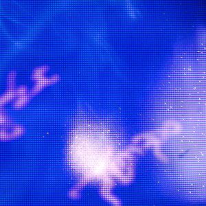 Image for 'Night Tempo'