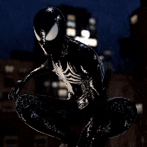 batspider3962