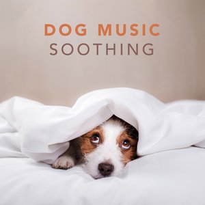 “Dog Music - Soothing Music for Dogs and Puppies”的封面