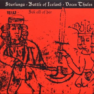 Image pour 'Sturlunga : Battle of Iceland'