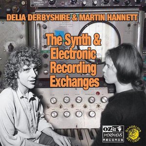 Image for 'The Synth And Electronic Recording Exchanges'
