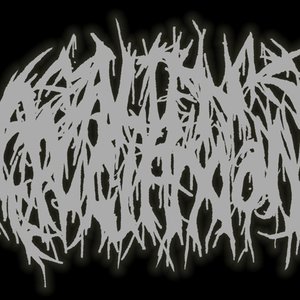 Image for 'Alien Crucifixion'