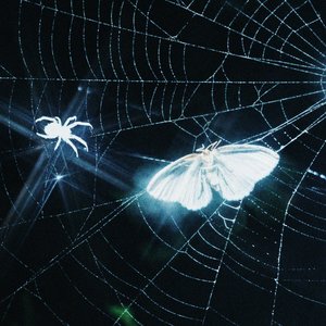 “Toxins (Remix)”的封面
