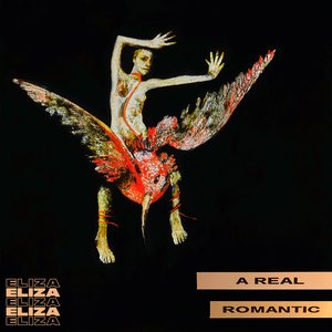 Image for 'A Real Romantic'