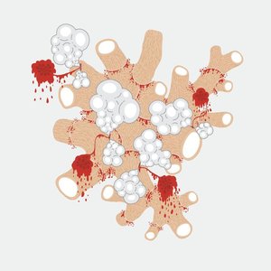 “The Exquisite Death Of Saxon Shore”的封面