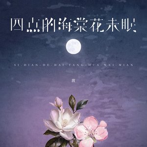 “四点的海棠花未眠”的封面