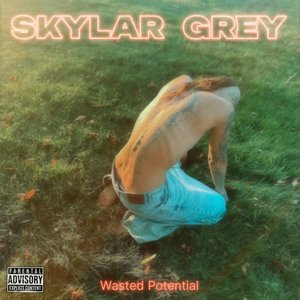 Image for 'Wasted Potential'