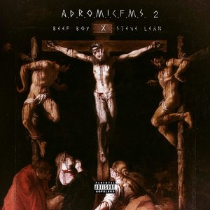 Image for 'A.D.R.O.M.I.C.F.M.S. 2'