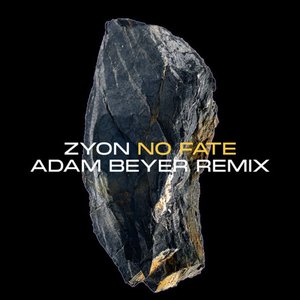 Image for 'No Fate (Adam Beyer Remix)'