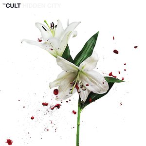 Image for 'Hidden City'