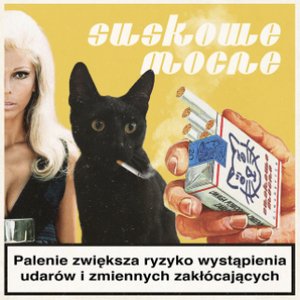 'ZMIENNE ZAKŁÓCAJĄCE'の画像