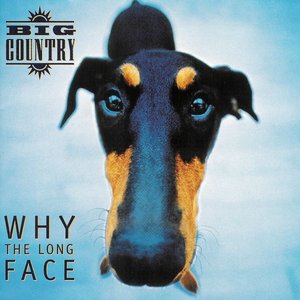 Изображение для 'Why the Long Face'