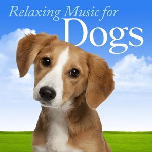 Image for 'Relaxing Music for Dogs: Most Popular Songs for Calming Down Your Dog, Puppy or Pet'