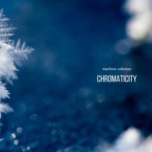 Image for 'Chromaticity'