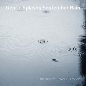 Image for 'Gentle Splashy September Rain'