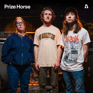 Image pour 'Prize Horse on Audiotree Live'