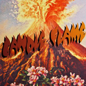 “Candle Flame (Opolopo Remix)”的封面